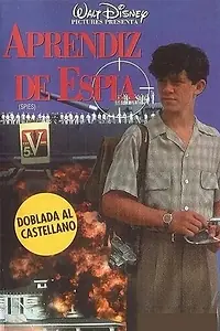 Главный постер фильма «Шпионы (1993)»