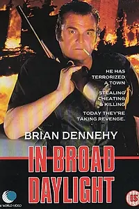 Постер к фильму «В озере дневного света (1991)»