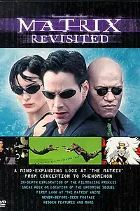 Постер к фильму «Возвращаясь к матрице (2001)»