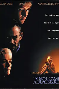 Постер к фильму «И спустился ворон (1995)»