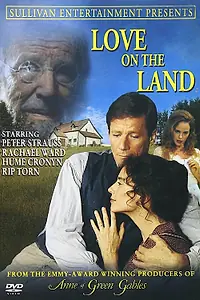 Постер к сериалу «Время любви (1999)»