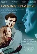 Главный постер фильма «Вечерний первоцвет (1966)»