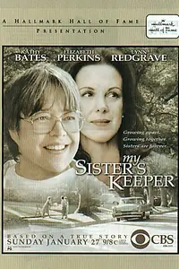 Главный постер фильма «Страж сестры моей (2002)»
