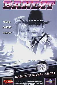 Постер к фильму «Серебряный ангел бандита (1994)»