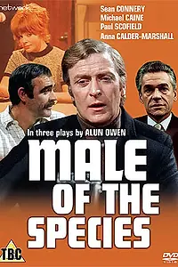 Главный постер фильма «Мужской род (1969)»