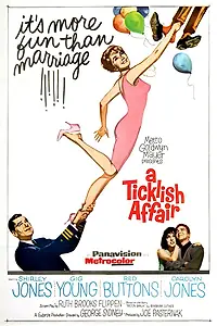 Главный постер фильма «Щекотливое дело (1963)»
