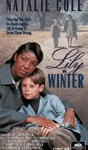 Главный постер фильма «Лили зимой (1994)»