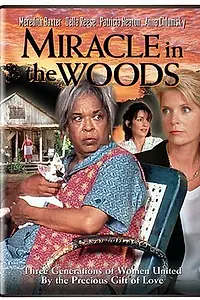 Главный постер фильма «Miracle in the Woods (1997)»