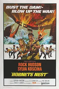 Главный постер фильма «Гнездо шершней (1970)»