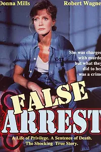 Постер к фильму «Ошибочный арест (1991)»