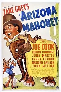 Постер к фильму «Arizona Mahoney (1936)»
