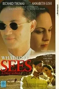 Постер к фильму «What Love Sees (1996)»