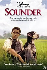 Постер к фильму «Sounder (2003)»