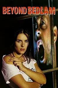 Постер к фильму «Большой бедлам (1994)»
