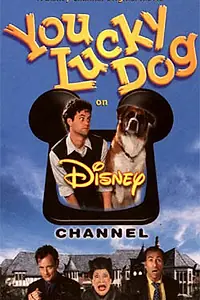 Главный постер фильма «Везучий пес (1998)»