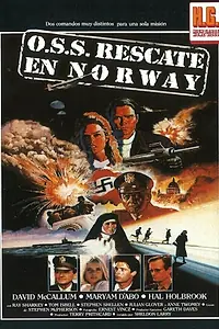 Постер к фильму «В тылу врага (1985)»