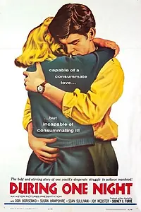 Постер к фильму «During One Night (1960)»