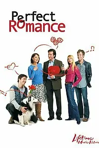 Постер к фильму «Идеальная пара (2004)»