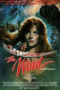 Главный постер фильма «Ветер (1986)»