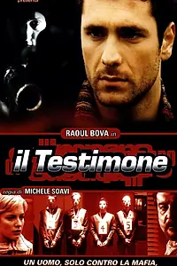 Постер к фильму «Свидетель (2001)»