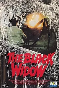 Постер к фильму «Проклятие черной вдовы (1977)»