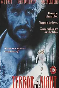 Постер к фильму «Террор в ночи (1994)»