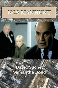 Главный постер сериала «Национальная полиция: Облава (2002)»