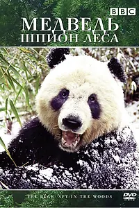 Постер к фильму «Медведь: Шпион леса (2004)»