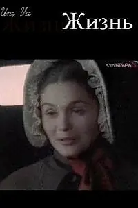 Постер к фильму «Жизнь (2004)»