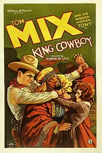 Постер к фильму «Король-ковбой (1928)»