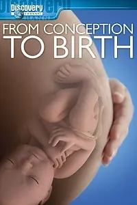 Постер к фильму «From Conception to Birth (2005)»