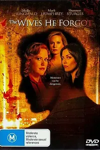 Главный постер фильма «Его забытые жены (2006)»