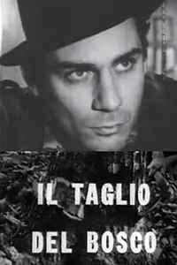 Постер к фильму «Лесорубы (1963)»