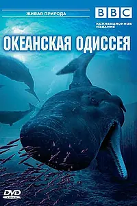 Постер к мультфильму «BBC: Океанская одиссея (2006)»