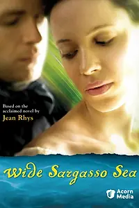 Постер к фильму «Широкое Саргассово море (2006)»