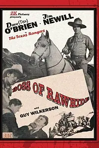 Постер к фильму «Boss of Rawhide (1943)»