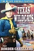 Постер к фильму «Texas Wildcats (1939)»