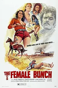 Главный постер фильма «Женская компания (1971)»