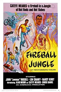 Главный постер фильма «Fireball Jungle (1968)»
