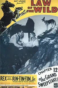 Главный постер фильма «Закон дикой природы (1934)»