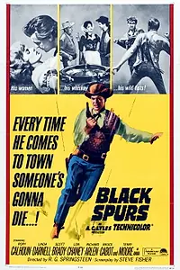 Постер к фильму «Чёрные шпоры (1965)»