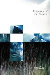Постер к фильму «После дождя (2007)»