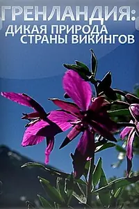 Главный постер фильма «Гренландия: Дикая природа страны викингов (2005)»