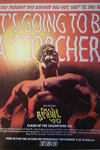 Постер к фильму «WCW Столкновение чемпионов 12 (1990)»
