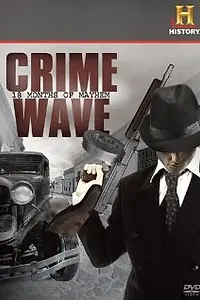 Постер к фильму «Crime Wave: 18 Months of Mayhem (2008)»