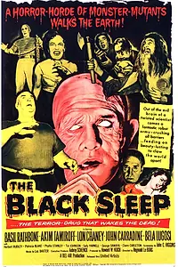 Главный постер фильма «Черное бездействие (1956)»