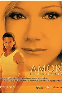 Постер к сериалу «Телохранитель (2005 - 2006)»