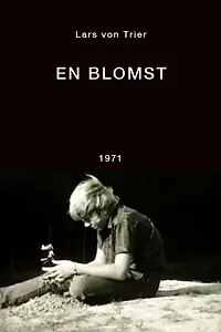 Главный постер фильма «Цветок (1971)»