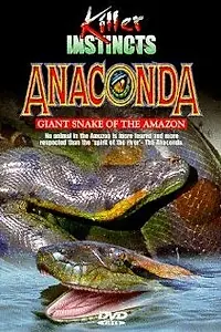 Главный постер фильма «Anaconda: Giant Snake of the Amazon (1999)»