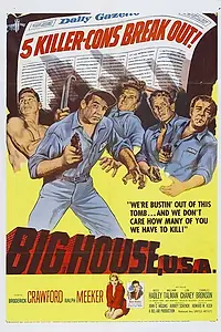 Главный постер фильма «Большой дом (1955)»